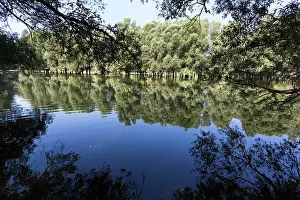 Flooding: The Gemenc Forest in the Danube-Drava National