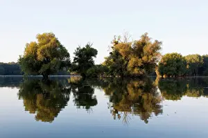 Flood: The Gemenc Forest in the Danube-Drava National