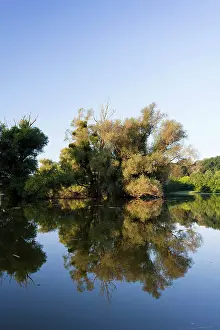 Danube: The Gemenc Forest in the Danube-Drava National