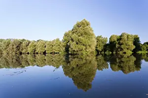 Danube: The Gemenc Forest in the Danube-Drava National