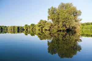 Danube: The Gemenc Forest in the Danube-Drava National