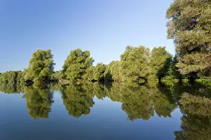 Danube: The Gemenc Forest in the Danube-Drava National
