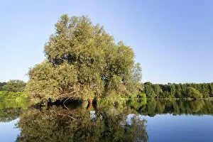 Danube: The Gemenc Forest in the Danube-Drava National