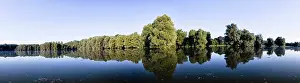 Danube: The Gemenc Forest in the Danube-Drava National