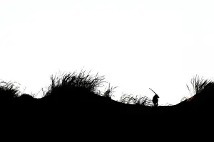 Cyperales: Gemsbok (Oryx gazella) silhouette in the dunes