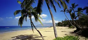 Maui: Geo. USA, Hawaii, Maui, Strand von Kihei