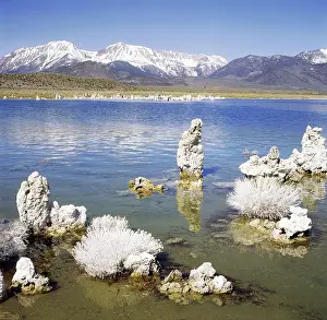 Mono: Geo. USA, Kalifornien, Mono Lake, Tufa Formationen