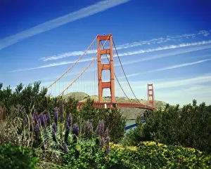 Francisco: Geo. USA, Kalifornien, San Francisco, Br&x23ae5bac;