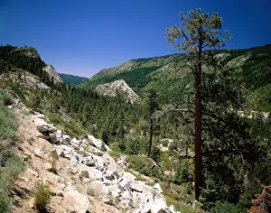 Nevada: Geo. USA, Kalifornien, Sierra Nevada Mountains