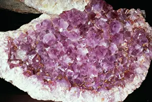 Geode: Geode, Quartz (variety Amethyst) - Purple