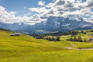 Almwiesen: Geografie, Italien, Almwiesen auf