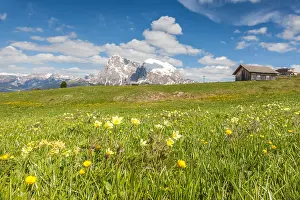 Ohne: Geografie, Italien, Bergwiesen auf