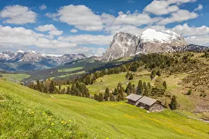Menschen: Geografie, Italien, Bergwiesen und