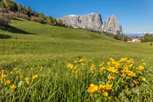 Seiser: Geografie, Italien, Die Seiser Alm