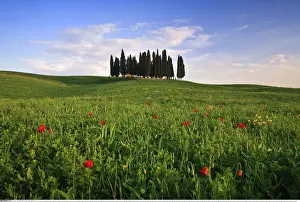 Europa: Geografie, Italien, H??gellandschaft mit Mohnblumen