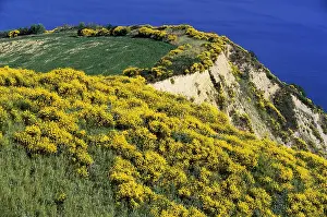 Marche: Geografie, Italien, Marche, Landschaften, Strada