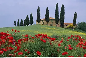 Pienza: Geografie, Italien, Toskana, bei Pienza, Villa Belvedere