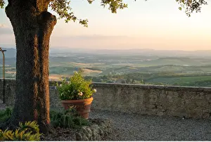 Ilex: Geografie, Italien, Toskana, Castellina in Chianti
