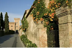 Europa: Geografie, Italien, Toskana, Kastell Bolgheri, Festung