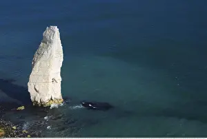 Dorset: Geografie, Jurassic Coast