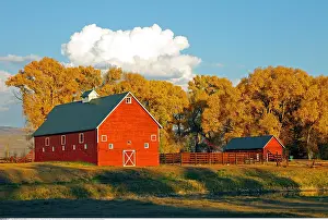 Architektur: Geografie, USA, Colorado, Red Barn, Horse River