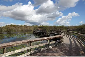 Anhinga: Geografie, USA, Florida, Everglades National Park