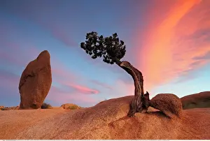 Joshua: Geografie, USA, Kalifornien, Joshua Tree Nationalpark