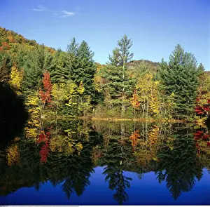 Wald: Geografie, USA, New Hampshire, White Mountains