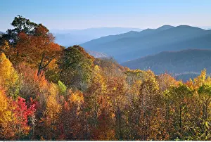 Wald: Geografie, USA, Tennessee, Smoky Mountains, Overlook