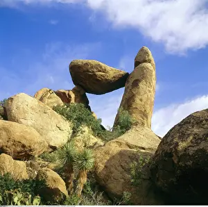 Stein: Geografie, USA, Texas, Big Bend National Park, Grapewine