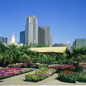 Markt: Geografie, USA, Texas, Dallas, Stadtansichten, Blick