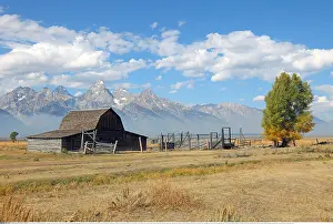 Architektur: Geografie, USA, Wyoming, Old Barn in Mormon Row