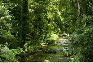 Brindle: geography / travel, Australia, New South Wales