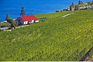 Okanagan: geography / travel, Canada, British Columbia, Okanagan-Simil