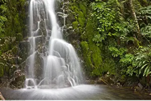 Hyde: geography / travel, Canada, Waterfall in the rainforest