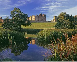 Castles: geography / travel, Great Britain, England, Alnwick