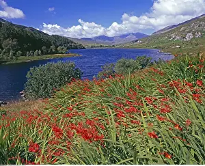Snowdon: geography / travel, Great Britain, Wales, Capel