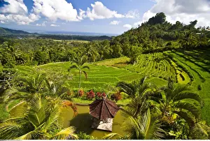 Terraced: geography / travel, Indonesia, Bali, terraced rice