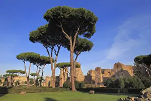 Baths: geography / travel, Italy, Baths of Caracalla (217)