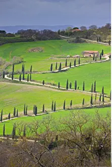 Siena: geography / travel, Italy, Tuscany, Zigzagging road