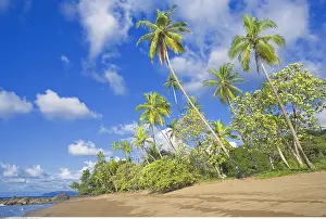 Destinations: geography / travel, Tropical beach, Bahia Drake