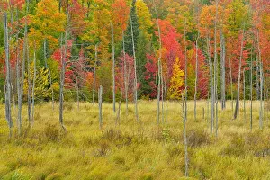 Competition: geography / travel, USA, Michigan, near Marquette