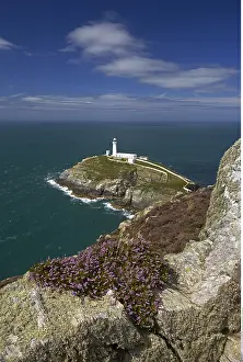 Stack: geography / travel, Wales, South Stack near Holyhead