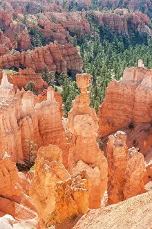 Bryce: Geology, erosion landscape, edge of the Paunsaugunt
