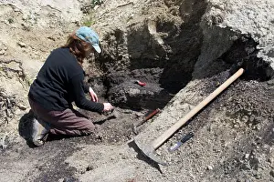 Boundary: GEOLOGY: K-T boundary
