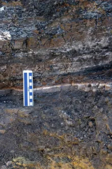 Boundary: GEOLOGY: K-T boundary - The K-T boundary claystone