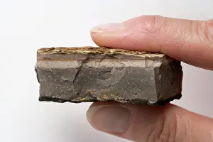 Boundary: GEOLOGY: K-T boundary - Sample of the K-T boundary