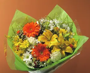 Gypsophila: Gerbera