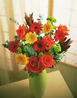 Lifestyle: Gerbera