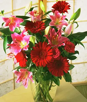 Vase: Gerbera